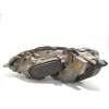 Recambio de faro derecho para mercedes-benz clase s (w220) berlina 320 (220.065) referencia OEM IAM A2208200861  0301153272