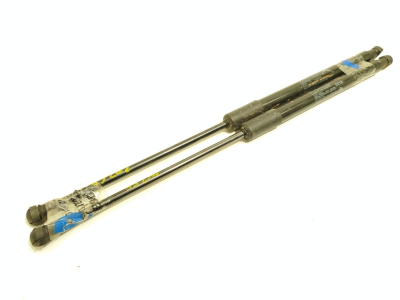 AMORTIGUADORES MALETERO / PORTON 9813177780 