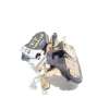 Recambio de cerradura puerta trasera izquierda para toyota rav 4 (a2) 2.0 turbodiesel cat referencia OEM IAM 6934042060  