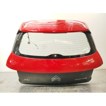 PORTON TRASERO 9800805380 1611430480 9825186280