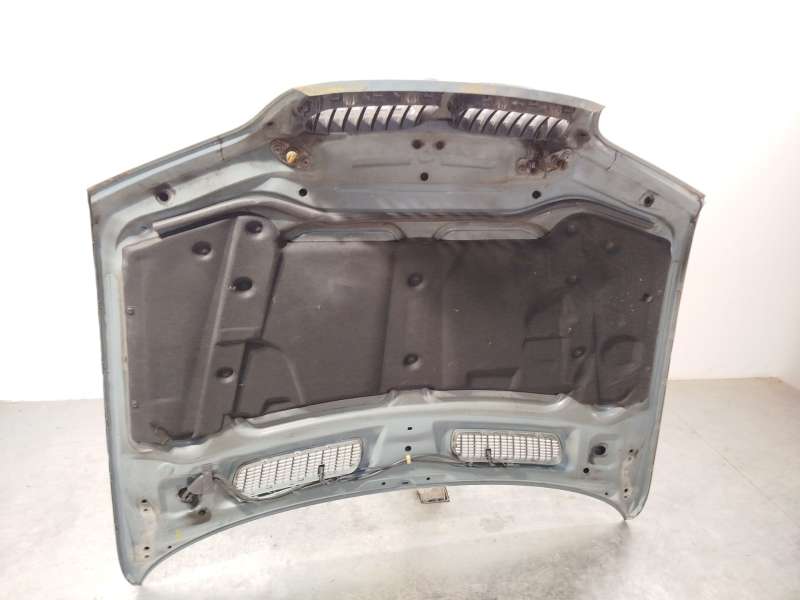 Recambio de capot para bmw x5 (e53) 3.0 d referencia OEM IAM 41617008328 - Verde 5
