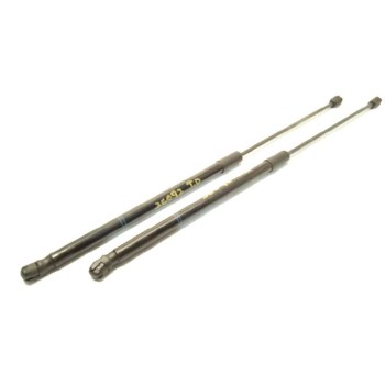 AMORTIGUADORES MALETERO / PORTON 39089133 