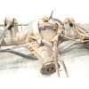 Recambio de puente trasero para hyundai terracan (hp) 2.9 crdi cat referencia OEM IAM 52100H1130 53000H1180 