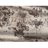 Recambio de llanta para chrysler grand voyager v (rt) 2.8 crd referencia OEM IAM 1BD60TRMAC K1BD60PAKAC 1BD60PAKAC