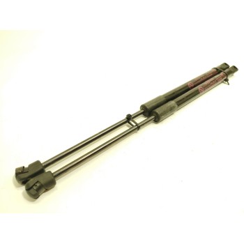 AMORTIGUADORES MALETERO / PORTON 81770H8410 