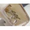 Recambio de cerradura maletero / porton para lexus rx (agl20) 450h referencia OEM IAM 1638000770  