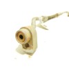 Recambio de tubos aire acondicionado para ford tourneo courier 1.0 ecoboost referencia OEM IAM R2X619D567AA1 2660682 