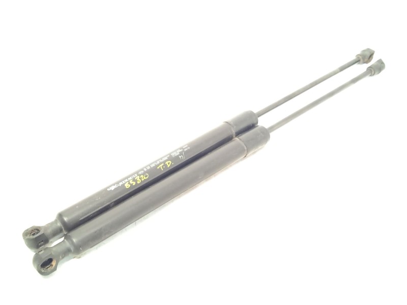 AMORTIGUADORES MALETERO / PORTON 844301324R 