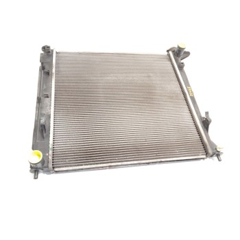 RADIADOR AGUA 253102Y000 