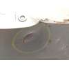 Recambio de paragolpes trasero para seat leon (5f1) 1.2 tsi referencia OEM IAM 5F0807421N 5F0807421NGRU 