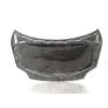 Recambio de capot para volkswagen golf plus v (5m1, 521) 1.9 tdi referencia OEM IAM 5M0823031F  