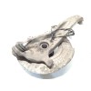 Recambio de mangueta delantera izquierda para bmw serie 5 lim. (f10) 530d xdrive referencia OEM IAM 31216777751  