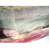 Recambio de puerta delantera izquierda para hyundai tucson (tl, tle) 1.7 crdi referencia OEM IAM 76003D7000  