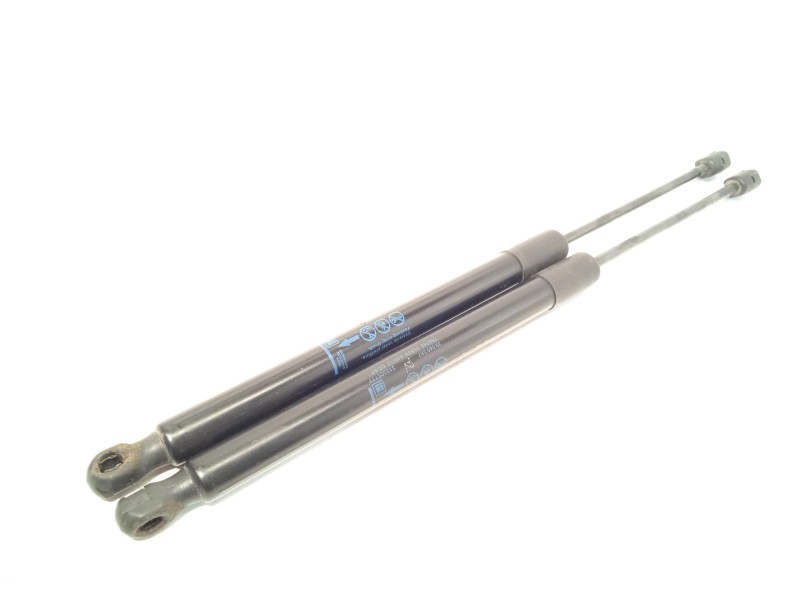 AMORTIGUADORES MALETERO / PORTON 39040587 