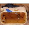 Recambio de aforador para mini clubman (r55) 1.6 16v diesel cat referencia OEM IAM 16112756096  