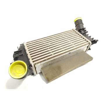 INTERCOOLER L1BG6D624AB 2524812 