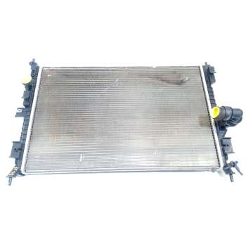 RADIADOR AGUA 9809141780 