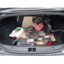 ALFA ROMEO 159 (939_)