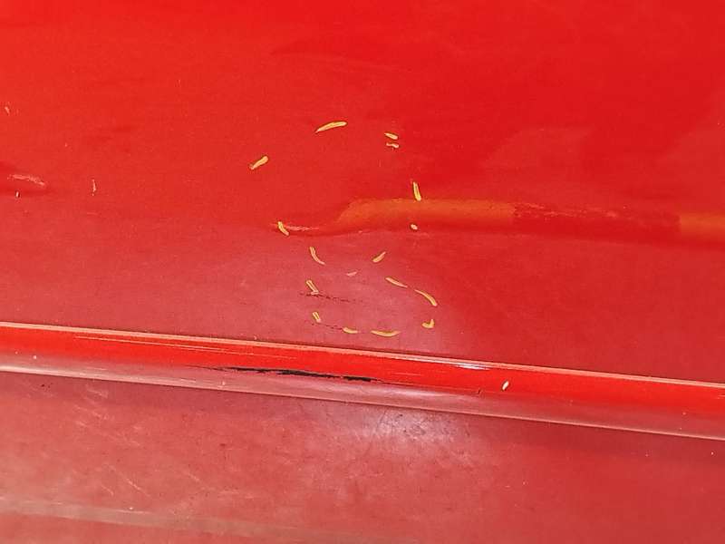 Recambio de puerta delantera izquierda para toyota corolla (_e12_) 1.6 vvt-i (zze121_) referencia OEM IAM 6700202151 - Rojo 5