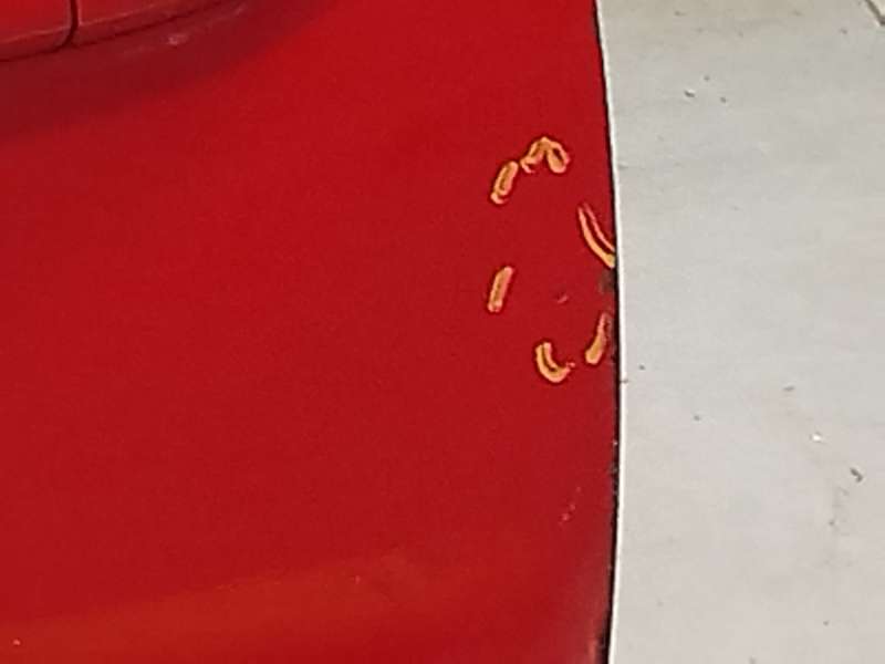 Recambio de puerta delantera izquierda para toyota corolla (_e12_) 1.6 vvt-i (zze121_) referencia OEM IAM 6700202151 - Rojo 6