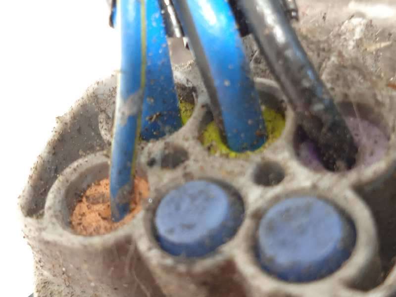 Recambio de motor limpia delantero para nissan murano (z50) básico referencia OEM IAM 28810CA000 - Azul 5