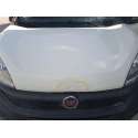 FIAT DOBLO CARGO (263_)