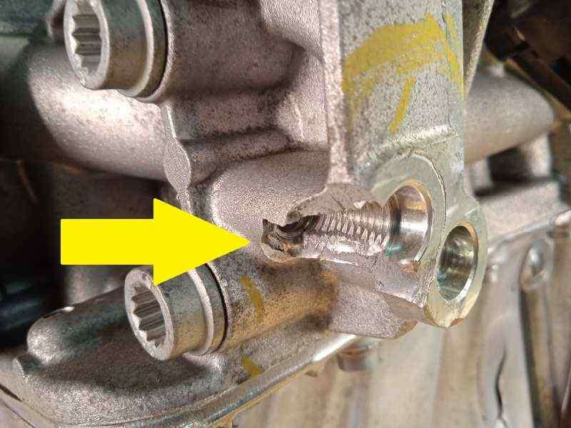 Recambio de despiece motor para seat ibiza (kj1) style referencia OEM IAM DKR DKRF - Blanco 8