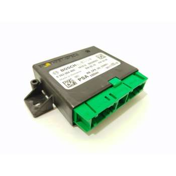 MODULO ELECTRONICO 9811742080 0263004802
