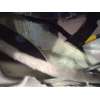 Recambio de puerta trasera derecha para bmw serie 1 lim. (f20/f21) 116d referencia OEM IAM 41527284516 41525A2A398 