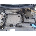 VOLKSWAGEN TIGUAN (5N2)