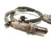 Recambio de sonda lambda para citroën berlingo furgoneta/monovolumen (k9) 1.5 bluehdi 75 referencia OEM IAM 9816276480  02810068