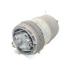 Recambio de amortiguador trasero derecho para audi e-tron (gen) 50 quattro referencia OEM IAM 4M0616002AK  F309514702