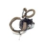 Recambio de cerradura puerta delantera derecha para nissan pulsar (c13) 1.2 16v cat referencia OEM IAM 805003ZL0A  