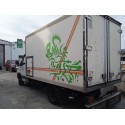 IVECO DAILY IV CAJA/CHASIS