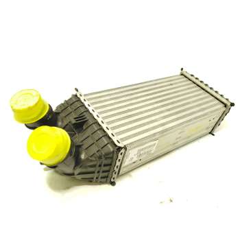 INTERCOOLER 9803900780 CV448005