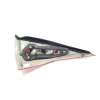 Recambio de piloto trasero izquierdo para renault megane ii familiar authentique referencia OEM IAM 8200417349  