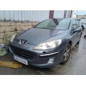 PEUGEOT 407 (6D_)
