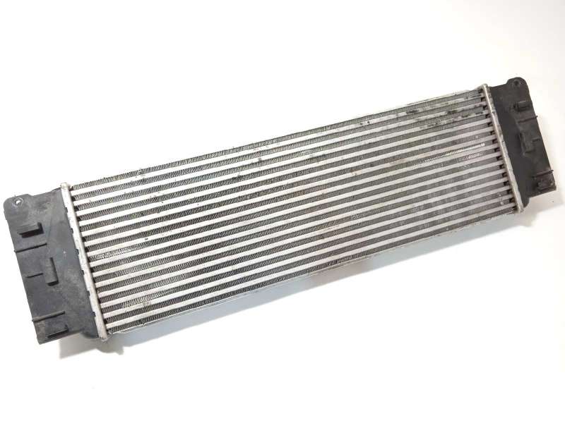 Recambio de intercooler para mercedes-benz sprinter ii james cook (906) 2.1 cdi cat referencia OEM IAM A9065010101 - Blanco 2