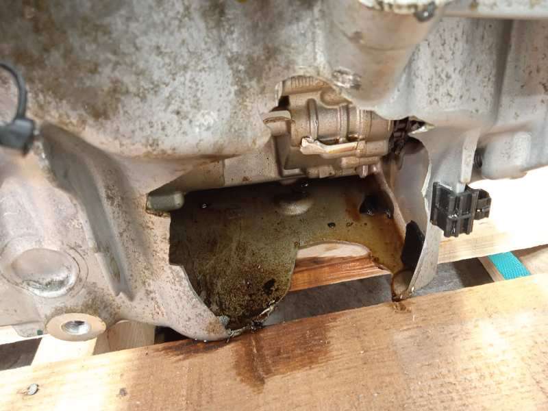 Recambio de despiece motor para bmw serie x3 (g01) xdrive20i referencia OEM IAM B48B20A 11