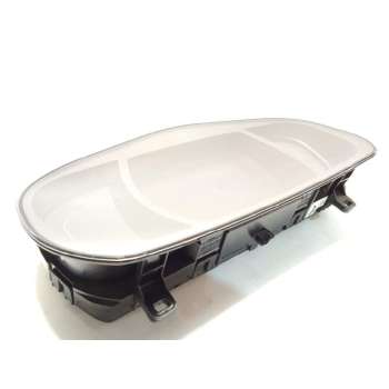 CUADRO INSTRUMENTOS 248109469R 