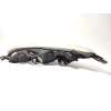 Recambio de faro derecho para peugeot 407 1.6 hdi fap cat (9hz / dv6ted4) referencia OEM IAM 9660235980 620690 0301213202