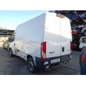 IVECO DAILY CONF. PAQUETERÍA (SOMMER)