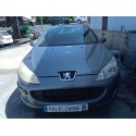 PEUGEOT 407 (6D_)