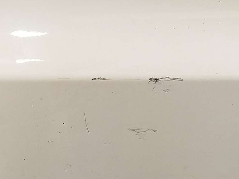 Recambio de puerta trasera derecha para bmw x3 (e83) 2.0 d referencia OEM IAM 41003449338 - Blanco 5
