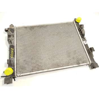 RADIADOR AGUA 214107326R 