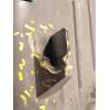 Recambio de faro derecho para audi a6 berlina (4b2) 1.9 tdi referencia OEM IAM 4B0941030R  