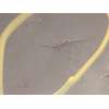 Recambio de abs para mitsubishi space star (a00) kaiteki referencia OEM IAM 4670B229 2265106452 269832