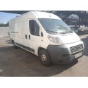 FIAT DUCATO CAJA CERRADA 35 TECHO ELEVADO (06.2006 =>)