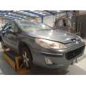 PEUGEOT 407 (6D_)