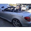 MERCEDES-BENZ CLASE SLK (W171) ROADSTER